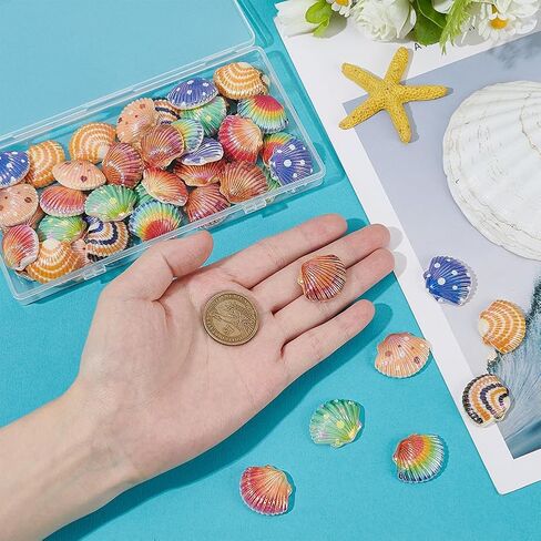 PH PandaHall 48PCS Dyied Flat Back Shells, 8 Colors Resin Sea Shell Cabochons Glitter Ocean Seashell Charms Pendants Cute Shell Embellishments for DIY Scrapbooking Ring Hair Clips Jewelry Making in Saudi Arabia