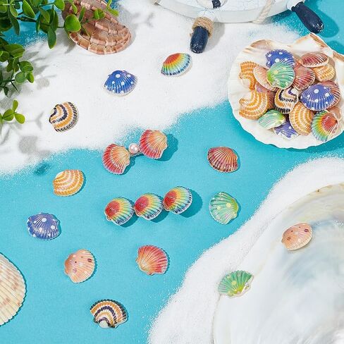 PH PandaHall 48PCS Dyied Flat Back Shells, 8 Colors Resin Sea Shell Cabochons Glitter Ocean Seashell Charms Pendants Cute Shell Embellishments for DIY Scrapbooking Ring Hair Clips Jewelry Making in Saudi Arabia