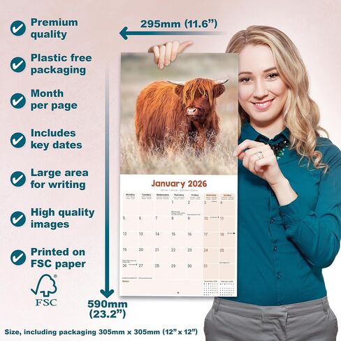 Highland Cows Calendar 2026 | 12 Month Wall Calendar | Avonside Publishing | Plastic Free Packaging in Saudi Arabia