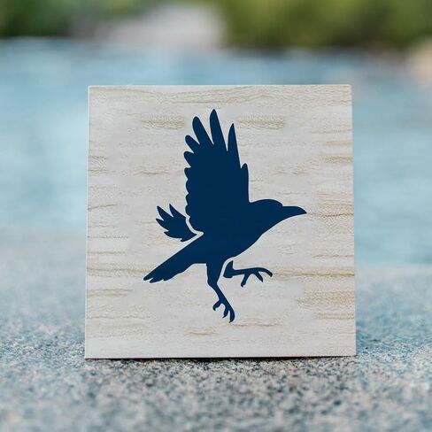 Fingerinspire 9pcs stency Raven مع فرشاة الطلاء البلاستيكية 1pc 5.9x5.9 بوصة 9 أنماط من الأنماط الرسم قوالب زخرفة الحيوانات للحيوانات للطلاء على الخشب ، القماش ، النسيج ، الجدار ، الأثاث in Kuwait