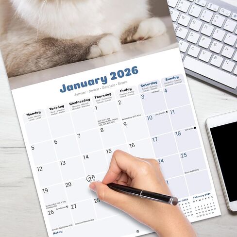 Ragdoll Cats Calendar 2026 | 12 Month Wall Calendar | Avonside Publishing | Plastic Free Packaging in Saudi Arabia
