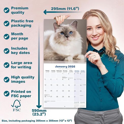 Ragdoll Cats Calendar 2026 | 12 Month Wall Calendar | Avonside Publishing | Plastic Free Packaging in Saudi Arabia