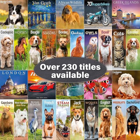 Ragdoll Cats Calendar 2026 | 12 Month Wall Calendar | Avonside Publishing | Plastic Free Packaging in Saudi Arabia