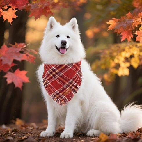 Ptdecor Fall Dog Bandanas مع حواف الشرابات ، وشاح البرتقالي والبني منقوش ، عيد الشكر عيد الشكر باندانا ، عصابات مثلث قابلة للانعكاس للقطط الصغيرة للكلاب (صغيرة) in Kuwait