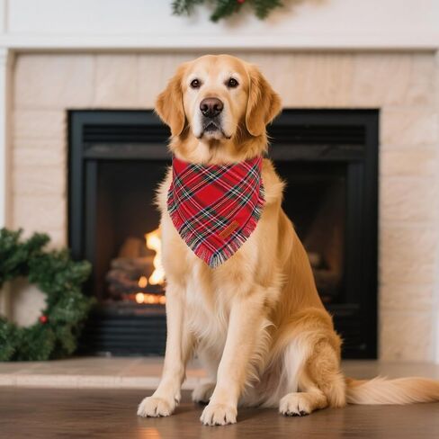 Ptdecor Fall Dog Bandanas مع حواف الشرابات ، وشاح البرتقالي والبني منقوش ، عيد الشكر عيد الشكر باندانا ، عصابات مثلث قابلة للانعكاس للقطط الصغيرة للكلاب (صغيرة) in Kuwait
