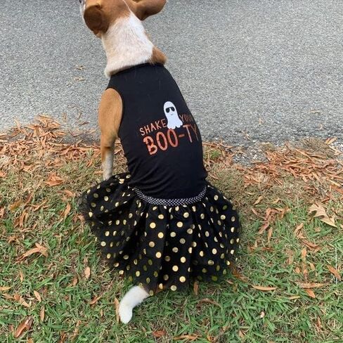 Shake Your Boo-ty Halloween Dog Shirt | Halloween Dog Costume (5XL 70-90 lbs) in Saudi Arabia