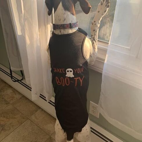 Shake Your Boo-ty Halloween Dog Shirt | Halloween Dog Costume (5XL 70-90 lbs) in Saudi Arabia