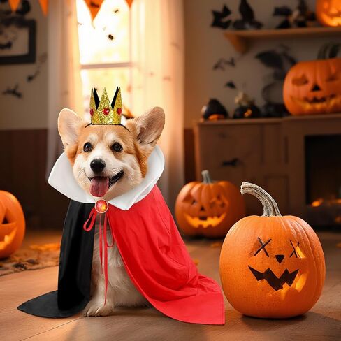Halloween Dog Queen Costume Set Red Black Cape with Crown Brooch Large Medium Small Dog Outfit for Party Cosplay in Saudi Arabia