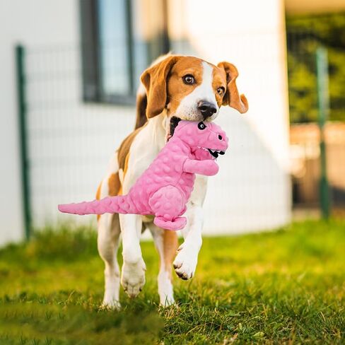 Andiker Dog Squeaky Toys, 8.66 in Plush Dogs Toy Soft Dogs Chew Toys in Dinosaur Shape for Chewing Biting Stuffed Dog Toys with a 3.93 in Squeaker and Crinkle Paper for All Puppy (Pink) in Saudi Arabia