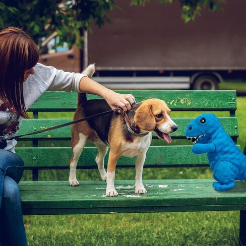 Andiker Dog Squeaky Toys, 8.66 in Plush Dogs Toy Soft Dogs Chew Toys in Dinosaur Shape for Chewing Biting Stuffed Dog Toys with a 3.93 in Squeaker and Crinkle Paper for All Puppy (Pink) in Saudi Arabia