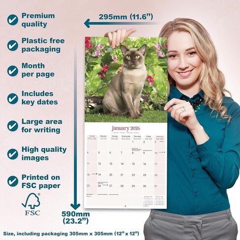Burmese Cats Calendar 2026 | 12 Month Wall Calendar | Avonside Publishing | Plastic Free Packaging in Saudi Arabia