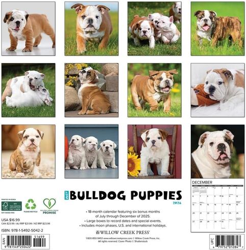 Bulldog Puppies 2026 12" x 12" Wall Calendar in Saudi Arabia