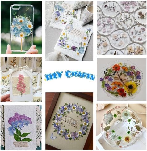 60PCS Mixed Natural Pressed Flowers Craft Kit with Tweezers for DIY Resin Coaster Bookmark Scrapbooking Wedding Vow Card Phone Case Home Decoration (White, Lavander, Yellow, Green) in Saudi Arabia
