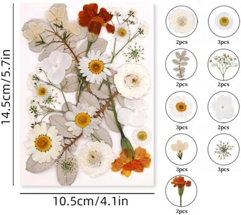 60PCS Mixed Natural Pressed Flowers Craft Kit with Tweezers for DIY Resin Coaster Bookmark Scrapbooking Wedding Vow Card Phone Case Home Decoration (White, Lavander, Yellow, Green) in Saudi Arabia