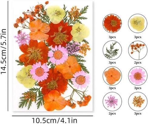 60PCS Mixed Natural Pressed Flowers Craft Kit with Tweezers for DIY Resin Coaster Bookmark Scrapbooking Wedding Vow Card Phone Case Home Decoration (White, Lavander, Yellow, Green) in Saudi Arabia