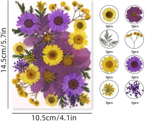60PCS Mixed Natural Pressed Flowers Craft Kit with Tweezers for DIY Resin Coaster Bookmark Scrapbooking Wedding Vow Card Phone Case Home Decoration (White, Lavander, Yellow, Green) in Saudi Arabia
