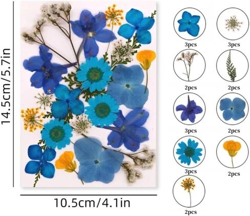 60PCS Mixed Natural Pressed Flowers Craft Kit with Tweezers for DIY Resin Coaster Bookmark Scrapbooking Wedding Vow Card Phone Case Home Decoration (White, Lavander, Yellow, Green) in Saudi Arabia