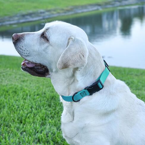 Dogline Biothane Waterproof Dog Collar with Quick Release Buckle Strong Coated Nylon Webbing with Odor- Proof for Easy Care Easy to Clean Fits Small Medium Large Dogs, Cyan Blue 1" W 15-25" L in Saudi Arabia