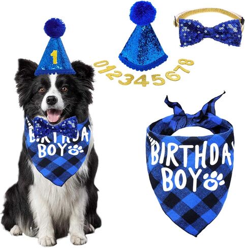 لوازم حفلة عيد ميلاد الحيوانات الأليفة ، عيد ميلاد الحيوانات الأليفة باندانا قبعة بوتي رقم للقطط الكلاب الكبيرة ، الحجم العالمي ، الأزرق in Kuwait