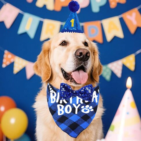 لوازم حفلة عيد ميلاد الحيوانات الأليفة ، عيد ميلاد الحيوانات الأليفة باندانا قبعة بوتي رقم للقطط الكلاب الكبيرة ، الحجم العالمي ، الأزرق in Kuwait