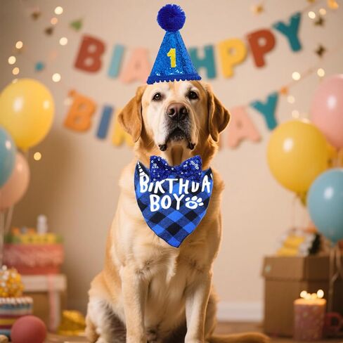لوازم حفلة عيد ميلاد الحيوانات الأليفة ، عيد ميلاد الحيوانات الأليفة باندانا قبعة بوتي رقم للقطط الكلاب الكبيرة ، الحجم العالمي ، الأزرق in Kuwait