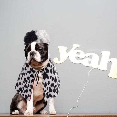 زي دلماسي الكلب هالوين مع شعر مستعار أبيض أسود ، Pet Cape Cloak Party Up ملابس مضحكة للكلاب الصغيرة المتوسطة الكبيرة (أسود ، كبير (للكلب الكبير)) in Kuwait