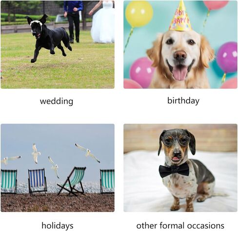 Mamore الرسمي الكلب tuxedo bandanas ، طوق زفاف قابل للتعديل مع ربطة عنق ، زي الكلب هدية حفلة عيد ميلاد للقطط الصغيرة المتوسطة كبيرة الكلاب (khaki & White-1 ، كبيرة) in Kuwait