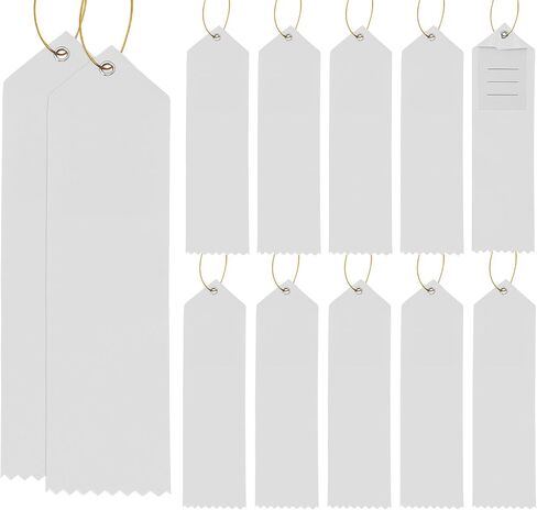 شرائط الفائز الفارغ الفارغ بنتا أنجيل 12PCS DIY Place Ribboy Medal Ribbon مع بطاقة حدث وحبل للتحديات المدرسية مسابقة الأحداث الرياضية (White) in Kuwait