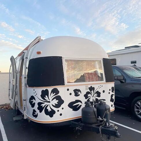 Large Flower Stencils Hibiscus Floral Stencils for Painting for Wood Garden Fence Wall Furniture Fabrics DIY Decor (6 Hibiscus) in Kuwait