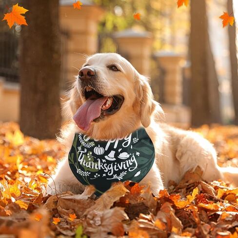 Sanwuta 120 PCS Fall Dog Bandanas Bulk Pumpkin Maple Leaves Autumn Autumn Attgiving Dog Pet Bibs Triangle Triangle Assume Assumeors for صغير متوسط ​​الحيوانات الأليفة لوازم اللوازم in Saudi Arabia