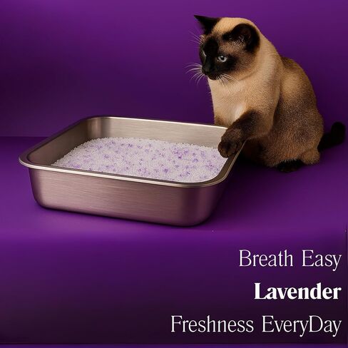 Lavender Cat Sterter-بلورات خفيفة الوزن خفيفة الوزن ، غير مقاس ، خالية من الغبار للتحكم في الرائحة ، و scoopfree و scoopfle in Kuwait
