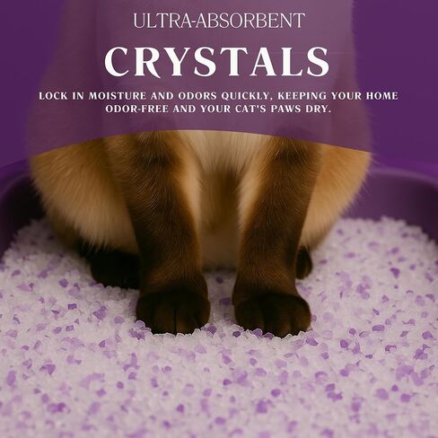 Lavender Cat Sterter-بلورات خفيفة الوزن خفيفة الوزن ، غير مقاس ، خالية من الغبار للتحكم في الرائحة ، و scoopfree و scoopfle in Kuwait