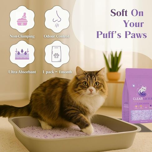 Lavender Cat Sterter-بلورات خفيفة الوزن خفيفة الوزن ، غير مقاس ، خالية من الغبار للتحكم في الرائحة ، و scoopfree و scoopfle in Kuwait