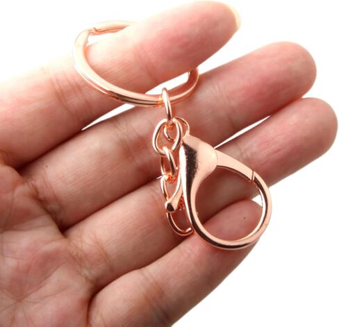 20pcs حلقة مقسمة مسطحة ومشابك جراد البحر مع سلسلة التمديد لسلسلة مفاتيح مفتاح DIY Craft (Silver) in Kuwait