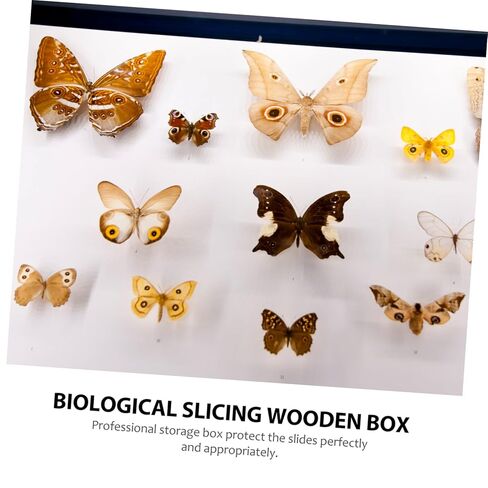 تتضمن حالة تخزين شريحة المجهر الخشبي للعينات المعدة مواقع فتحات شريحة الحامل المشبك والإسفنج الوقائي للنقل الآمن in Kuwait