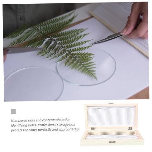 تتضمن حالة تخزين شريحة المجهر الخشبي للعينات المعدة مواقع فتحات شريحة الحامل المشبك والإسفنج الوقائي للنقل الآمن in Kuwait