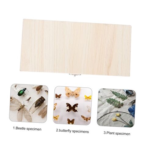 تتضمن حالة تخزين شريحة المجهر الخشبي للعينات المعدة مواقع فتحات شريحة الحامل المشبك والإسفنج الوقائي للنقل الآمن in Kuwait