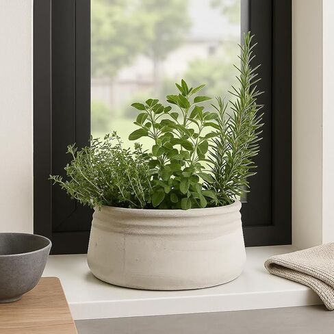 Zentique White Cement Planter Bowl – Round Low Concrete Pot for Succulents, Herbs, or Decorative Accents – Rustic Indoor/Outdoor Vessel (Large) in Saudi Arabia