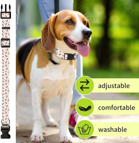 طوق الكلاب ، طوق الكلب لطيف للكلاب الصغيرة المتوسطة الصغيرة ، أطواق الحيوانات الأليفة الناعمة القابلة للتعديل مع مشبك سرعان in Kuwait