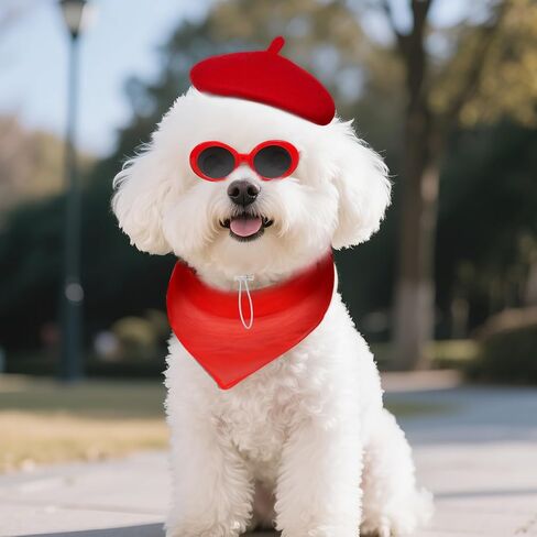 Dog Beret Set Including Dog Beret Scarf Glasses for Small Dogs Cat Doll in Saudi Arabia