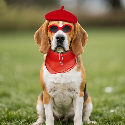 Dog Beret Set Including Dog Beret Scarf Glasses for Small Dogs Cat Doll in Saudi Arabia
