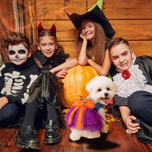 Dog Halloween Tutu Dress Holiday Dog Clothes for Small Medium Pets Pumpkin Pattern Cat Outfits with Denim Top Purple Tulle Skirt with Orange Bow Pet Costume (Pumpkin, M(7.5-10lb)) in Saudi Arabia