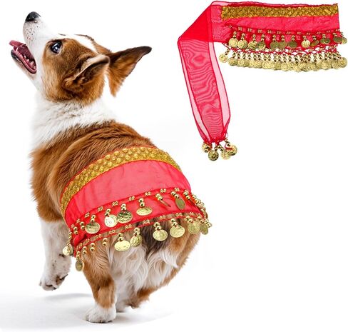 Belly Dance Hip Scarf, Belly Dancer Skirt Dog Dancer Costume Pet Dogs Costumes with Skirt Wrap Performance Bling Sequins Coins for Women Corgi Puppy Birthday Parties Halloween Celebrations Red in Saudi Arabia