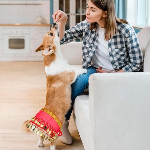 Belly Dance Hip Scarf, Belly Dancer Skirt Dog Dancer Costume Pet Dogs Costumes with Skirt Wrap Performance Bling Sequins Coins for Women Corgi Puppy Birthday Parties Halloween Celebrations Red in Saudi Arabia
