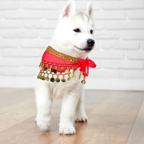 Belly Dance Hip Scarf, Belly Dancer Skirt Dog Dancer Costume Pet Dogs Costumes with Skirt Wrap Performance Bling Sequins Coins for Women Corgi Puppy Birthday Parties Halloween Celebrations Red in Saudi Arabia