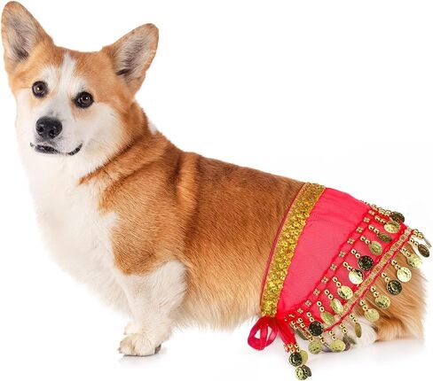 Belly Dance Hip Scarf, Belly Dancer Skirt Dog Dancer Costume Pet Dogs Costumes with Skirt Wrap Performance Bling Sequins Coins for Women Corgi Puppy Birthday Parties Halloween Celebrations Red in Saudi Arabia