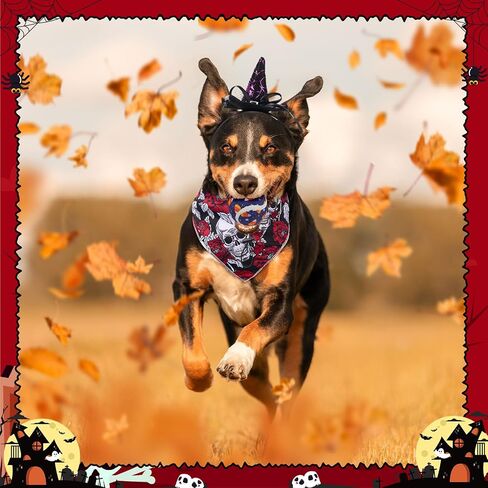 Frienda 12 PCS Halloween Costume for Dog assucture bandanas triangle وشاح ، كرات تنس صاخبة للحيوانات الأليفة ، عقال الحيوانات الأليفة القابل للتعديل لملحقات ملابس الهالوين in Kuwait
