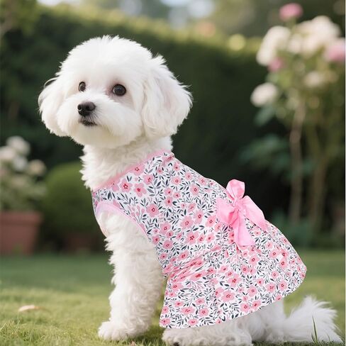 Choyaxo Floral Dog Custome Princess Bow Dress Cute Cog Skirt Pet Dress Summer Apt Abt الملابس لجرو جرو القطط الصغيرة in Saudi Arabia