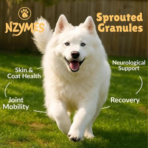 Nzymes® Sprouted Granules 1LBS for Dogs, Cats, and Companion Pets. Raw Super-Food Protein and Antioxidant Nutrition. Cost Effective Food Supplement Dog Health Supplies. 110 Servings USA in Saudi Arabia