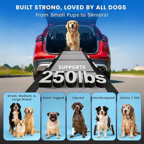 منحدر الكلب المحمول للسيارة-منحدر سيارة للكلاب القابلة للطي للشاحنة وسيارات الدفع الرباعي والسرير المرتفع والأريكة مع أقدام مضادة للانزلاق وسجاد الجر-صغير إلى كبير من السلالات الكبيرة (63 "طويلة و 17") in Kuwait